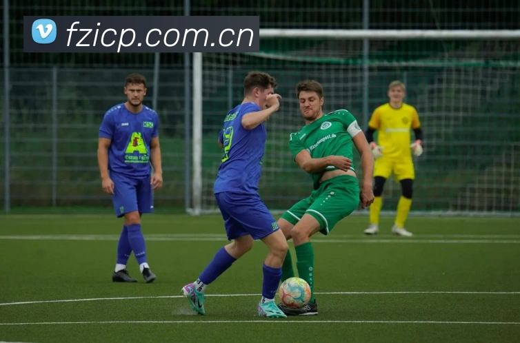 半岛网站服务体系